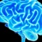 MangoTree Analysis profile picture