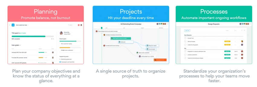 Asana software solutions